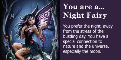 You are a Night Fairy